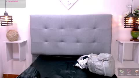 Snapshot of cheelsea_ chatting on February 4, 2025, 3:33 am cheelsea_ online show from February 4, 2025, 3:33 am
