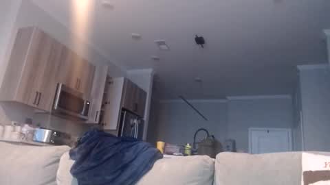 Snapshot of chefdev chatting on November 19, 2025, 3:45 pm Chef Dev XXX online show from November 19, 2025, 3:45 pm