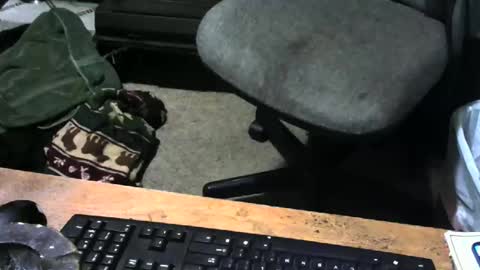 chefy online show from December 18, 2025, 10:54 am