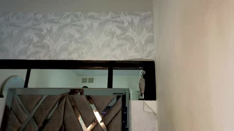   online show from April 15, 2026, 2:40 am