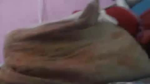 Cheila online show from April 20, 2026, 2:42 pm