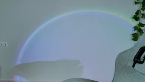 Bella online show from February 16, 2026, 9:05 am