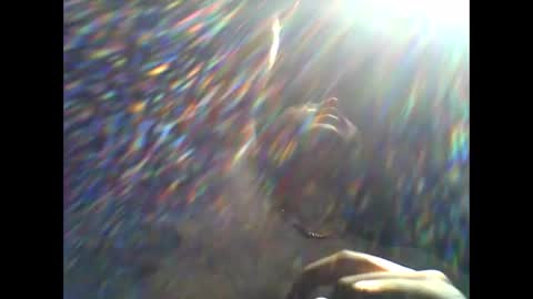 CHINO online show from April 11, 2026, 2:21 pm