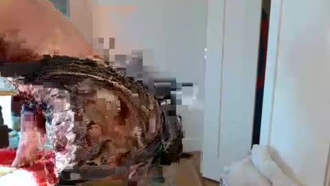 christophe_throbin online show from January 31, 2026, 10:52 pm