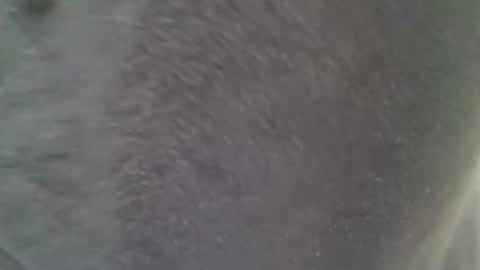 chubbycub14 online show from February 7, 2026, 3:38 pm