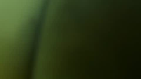 Snapshot of chuckyschick69 chatting on December 3, 2025, 4:53 am chuckyschick69 online show from December 3, 2025, 4:53 am