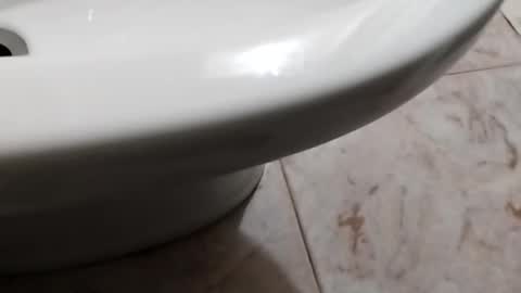 ciccilli online show from October 8, 2025, 8:17 pm