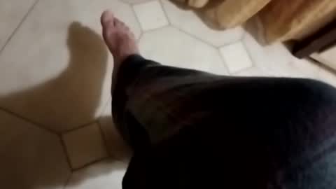 ciccilli online show from November 4, 2025, 10:31 pm