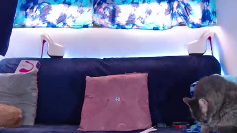 cicimom online show from February 5, 2025, 5:20 pm