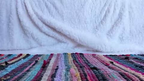 Snapshot of cocknholestar chatting on February 18, 2025, 8:25 pm Gorgeous online show from February 18, 2025, 8:25 pm