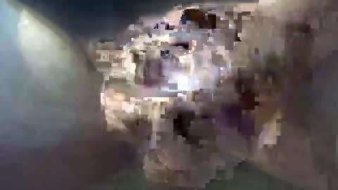 cocktoys online show from October 30, 2025, 8:49 am