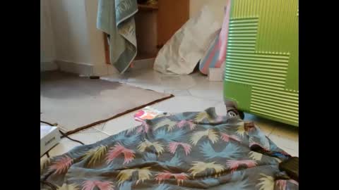 coco vixen9 online show from November 29, 2025, 9:12 am