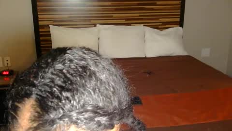 chanel online show from March 2, 2026, 9:10 pm