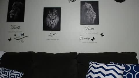 CocosCreamy online show from February 5, 2026, 1:27 pm