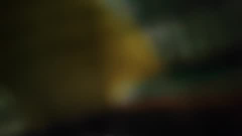 Snapshot of col_ander chatting on July 31, 2026, 7:19 am col_ander online show from July 31, 2026, 7:19 am