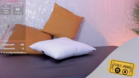 colt_perci online show from January 26, 2025, 10:23 am