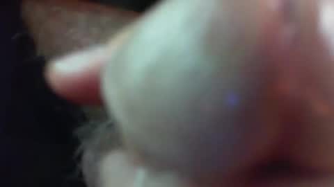 comox online show from November 29, 2025, 5:21 am