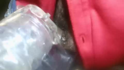 bearded hairy pits big brown cock online show from January 13, 2025, 10:45 pm