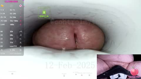 Snapshot of controlmytoys chatting on February 12, 2025, 9:22 pm Control online show from February 12, 2025, 9:22 pm