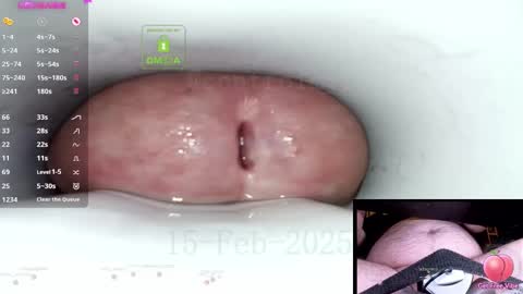 Snapshot of controlmytoys chatting on February 15, 2025, 9:59 pm Control online show from February 15, 2025, 9:59 pm