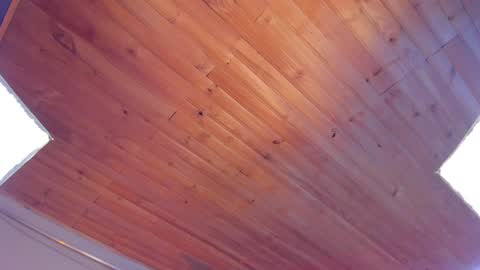 Coraline online show from January 25, 2025, 12:27 am