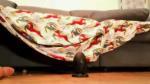 Andy sissy room online show from September 26, 2025, 4:33 pm