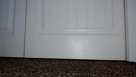 Couple049 online show from January 2, 2025, 7:29 pm