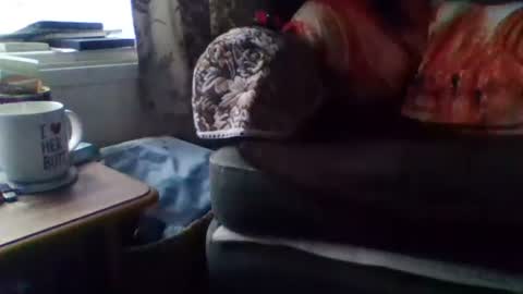 courieral1 online show from February 15, 2025, 8:00 am