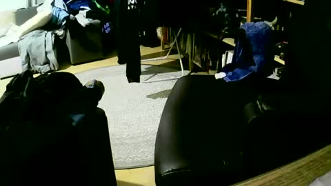 Snapshot of coyote017 chatting on January 27, 2025, 6:09 am coyote017 online show from January 27, 2025, 6:09 am