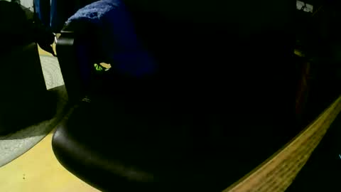 Snapshot of coyote017 chatting on November 1, 2025, 7:49 pm coyote017 online show from November 1, 2025, 7:49 pm