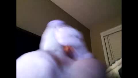 Cranada777 online show from February 24, 2025, 1:21 pm