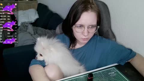 crash_test13 online show from December 25, 2024, 8:51 am