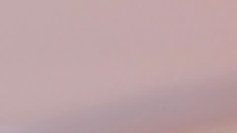 Caro  Andrew online show from January 27, 2025, 5:58 am