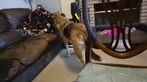 The hopeless romantic online show from September 27, 2025, 8:08 am