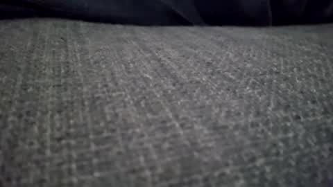 crispics69 online show from January 16, 2025, 1:04 pm