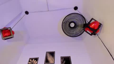 criss_zuri online show from April 9, 2026, 11:48 am