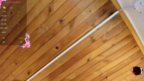 Cristal online show from September 22, 2025, 4:25 am