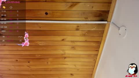 Cristal online show from September 29, 2025, 4:06 am