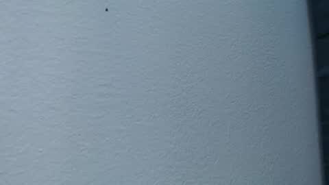 Hanna  online show from February 15, 2025, 6:02 am