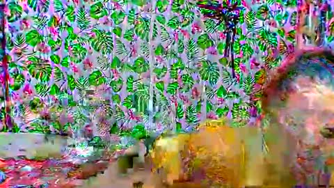 cristine316 online show from February 25, 2025, 5:19 am