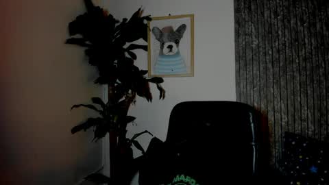 Cristian online show from March 29, 2026, 11:38 pm