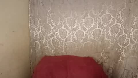 carol     online show from April 6, 2026, 2:31 am