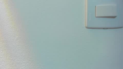 angie  online show from February 15, 2026, 3:36 am