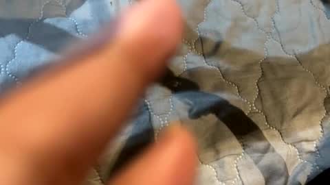 im KIM new girl to spoil online show from November 7, 2025, 6:13 am