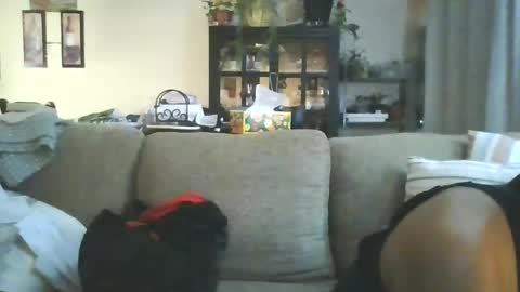 Snapshot of cumdumpslutfag chatting on June 11, 2026, 9:51 am cumdumpslutfag online show from June 11, 2026, 9:51 am