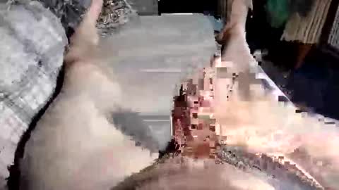 Paul online show from October 10, 2025, 10:47 am