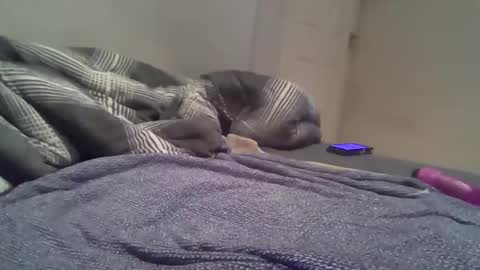 Snapshot of cummbumm69 chatting on February 14, 2026, 8:16 pm cummbumm69 online show from February 14, 2026, 8:16 pm