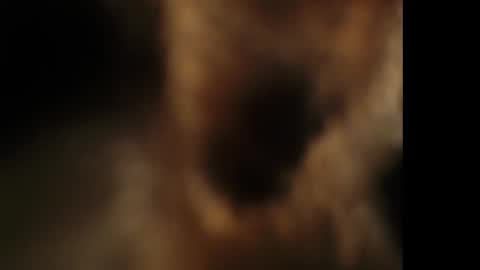 Giselle online show from October 25, 2025, 7:41 pm