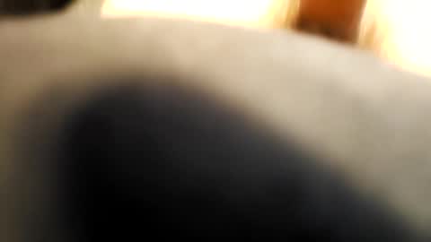 cumonmyface427 online show from December 22, 2025, 6:38 pm