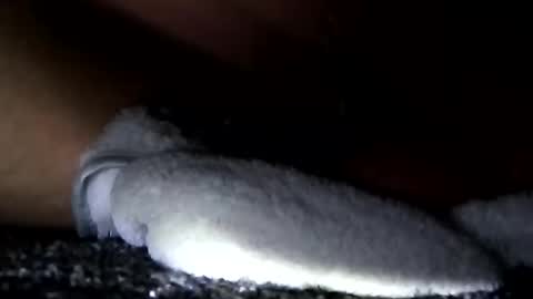 Aprilia online show from January 14, 2025, 11:10 am